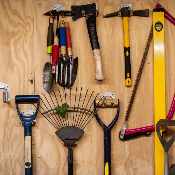 Outils variés exposés sur un mur en bois dans un cabanon ou un garage.